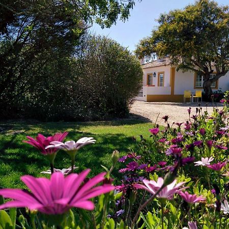 Casas Das Amoreiras Aldeia do Meco Bagian luar foto