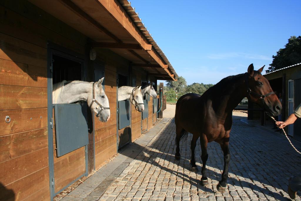 Casas Das Amoreiras Aldeia do Meco Bagian luar foto